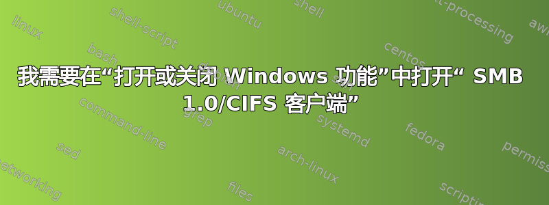 我需要在“打开或关闭 Windows 功能”中打开“ SMB 1.0/CIFS 客户端”