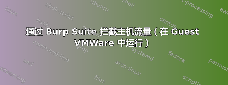 通过 Burp Suite 拦截主机流量（在 Guest VMWare 中运行）