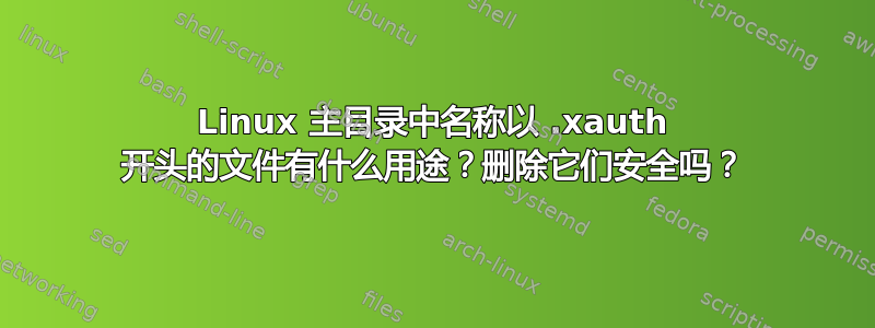 Linux 主目录中名称以 .xauth 开头的文件有什么用途？删除它们安全吗？