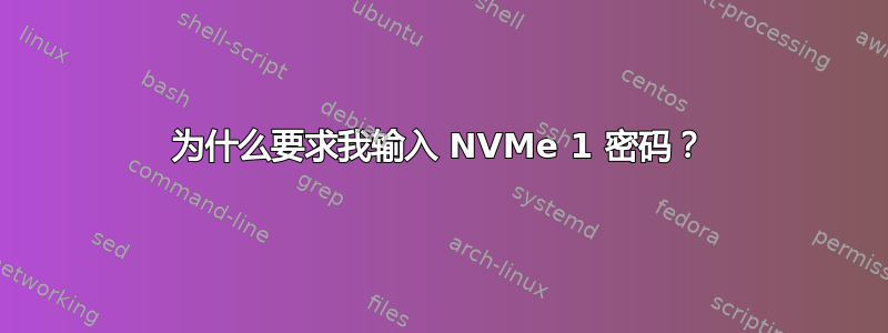 为什么要求我输入 NVMe 1 密码？