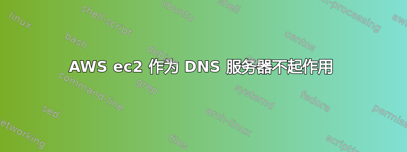 AWS ec2 作为 DNS 服务器不起作用