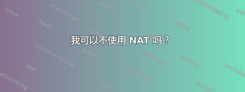 我可以不使用 NAT 吗？