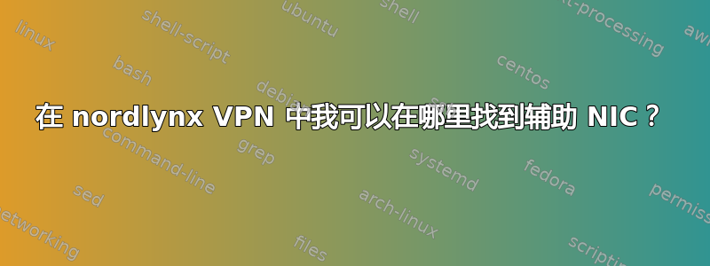 在 nordlynx VPN 中我可以在哪里找到辅助 NIC？