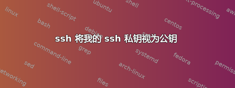 ssh 将我的 ssh 私钥视为公钥