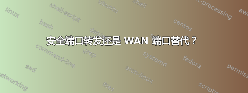 安全端口转发还是 WAN 端口替代？