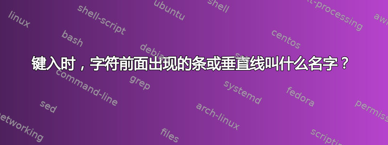 键入时，字符前面出现的条或垂直线叫什么名字？