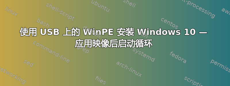 使用 USB 上的 WinPE 安装 Windows 10 — 应用映像后启动循环