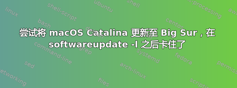 尝试将 macOS Catalina 更新至 Big Sur，在 softwareupdate -l 之后卡住了