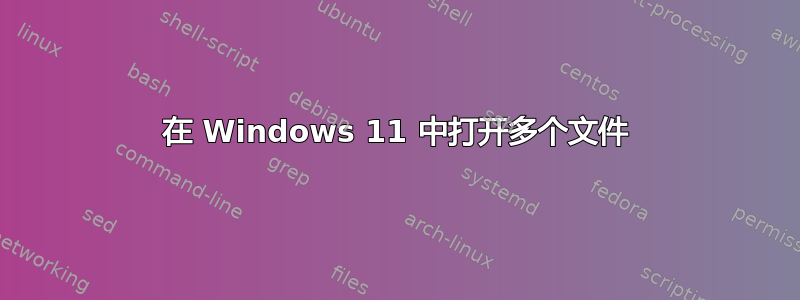 在 Windows 11 中打开多个文件