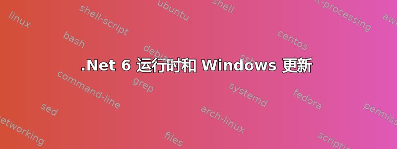 .Net 6 运行时和 Windows 更新