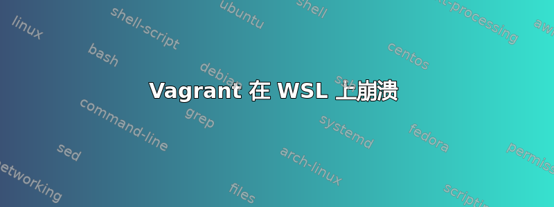 Vagrant 在 WSL 上崩溃