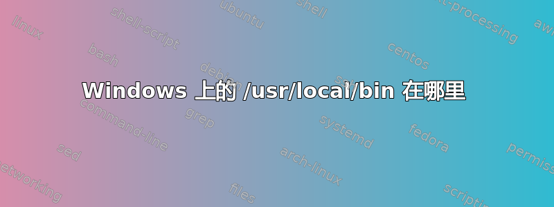 Windows 上的 /usr/local/bin 在哪里