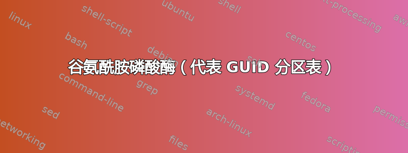 谷氨酰胺磷酸酶（代表 GUID 分区表）