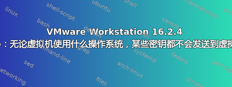 VMware Workstation 16.2.4 Pro：无论虚拟机使用什么操作系统，某些密钥都不会发送到虚拟机