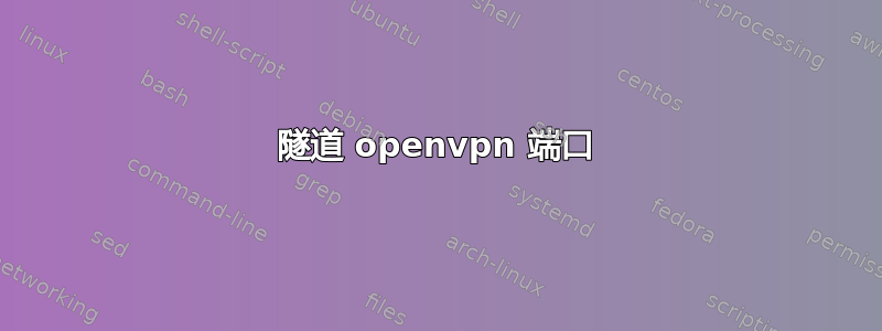 隧道 openvpn 端口