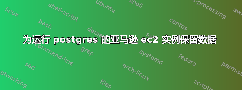 为运行 postgres 的亚马逊 ec2 实例保留数据