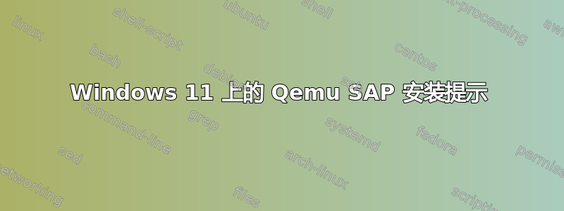 Windows 11 上的 Qemu SAP 安装提示