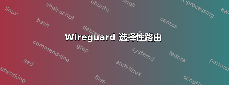 Wireguard 选择性路由