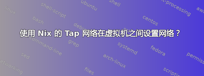 使用 Nix 的 Tap 网络在虚拟机之间设置网络？