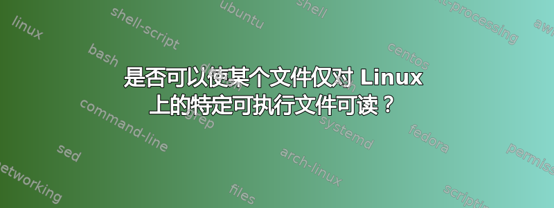 是否可以使某个文件仅对 Linux 上的特定可执行文件可读？