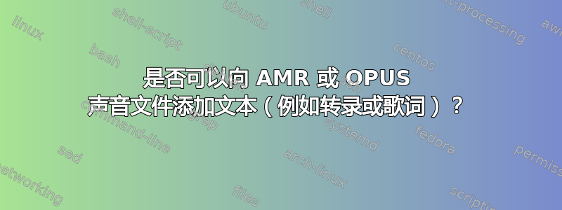 是否可以向 AMR 或 OPUS 声音文件添加文本（例如转录或歌词）？