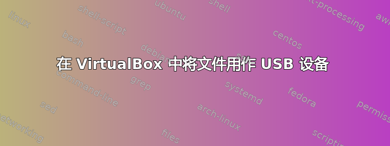 在 VirtualBox 中将文件用作 USB 设备