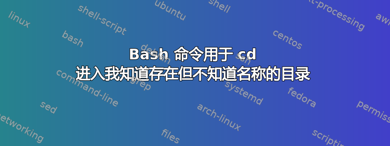 Bash 命令用于 cd 进入我知道存在但不知道名称的目录