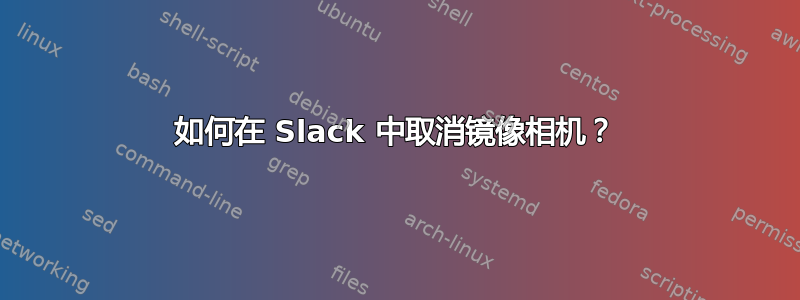 如何在 Slack 中取消镜像相机？