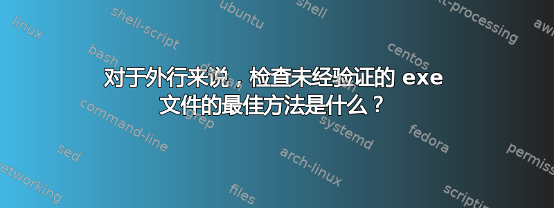 对于外行来说，检查未经验证的 exe 文件的最佳方法是什么？