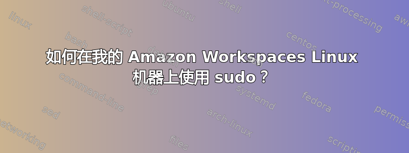 如何在我的 Amazon Workspaces Linux 机器上使用 sudo？