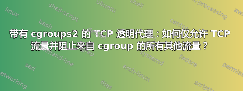 带有 cgroups2 的 TCP 透明代理：如何仅允许 TCP 流量并阻止来自 cgroup 的所有其他流量？