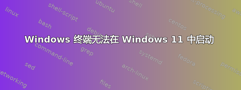 Windows 终端无法在 Windows 11 中启动