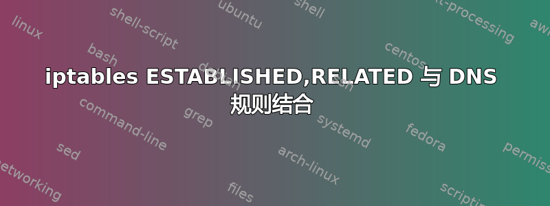 iptables ESTABLISHED,RELATED 与 DNS 规则结合