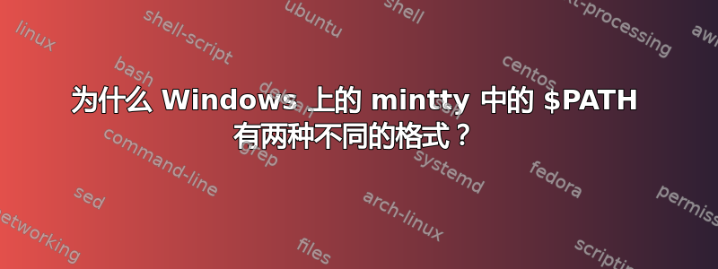 为什么 Windows 上的 mintty 中的 $PATH 有两种不同的格式？