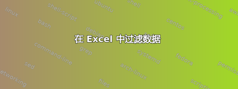 在 Excel 中过滤数据