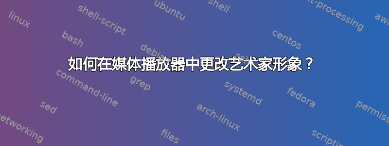 如何在媒体播放器中更改艺术家形象？