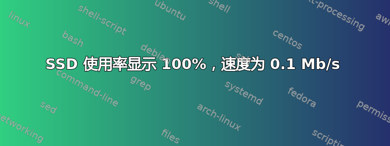 SSD 使用率显示 100%，速度为 0.1 Mb/s