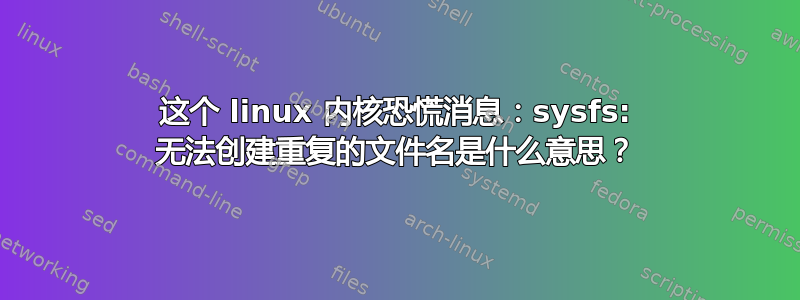 这个 linux 内核恐慌消息：sysfs: 无法创建重复的文件名是什么意思？