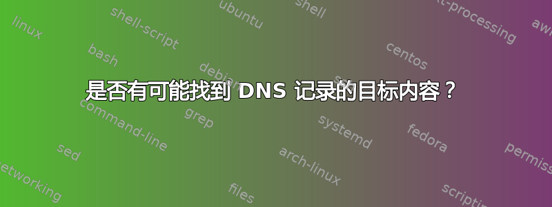 是否有可能找到 DNS 记录的目标内容？