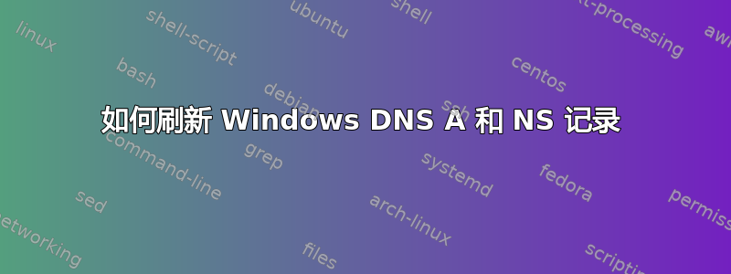 如何刷新 Windows DNS A 和 NS 记录