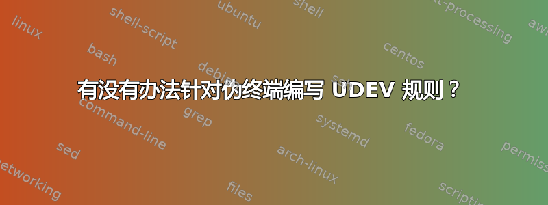 有没有办法针对伪终端编写 UDEV 规则？