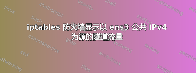 iptables 防火墙显示以 ens3 公共 IPv4 为源的隧道流量