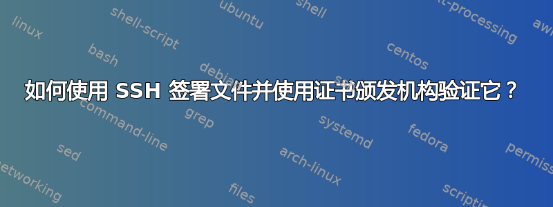 如何使用 SSH 签署文件并使用证书颁发机构验证它？