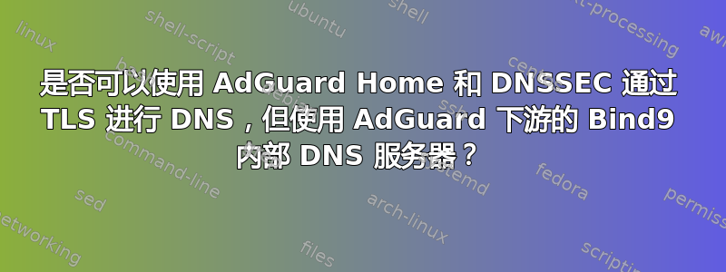 是否可以使用 AdGuard Home 和 DNSSEC 通过 TLS 进行 DNS，但使用 AdGuard 下游的 Bind9 内部 DNS 服务器？