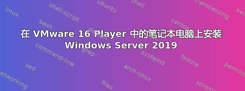 在 VMware 16 Player 中的笔记本电脑上安装 Windows Server 2019