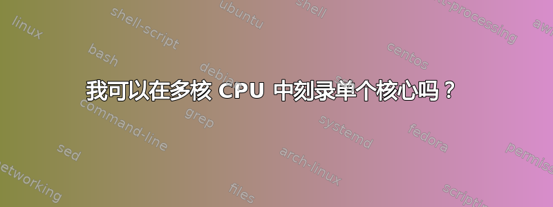 我可以在多核 CPU 中刻录单个核心吗？