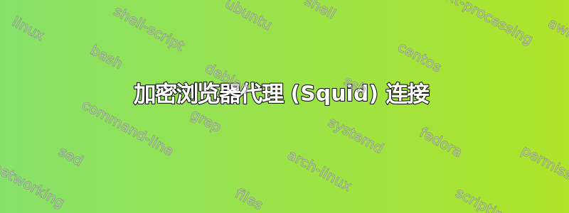 加密浏览器代理 (Squid) 连接