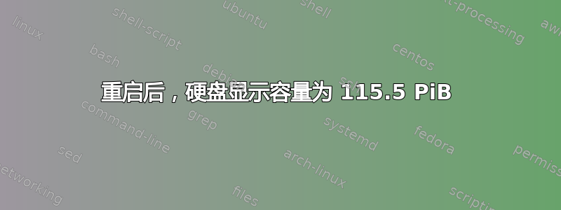 重启后，硬盘显示容量为 115.5 PiB