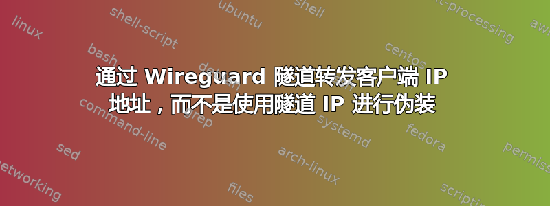 通过 Wireguard 隧道转发客户端 IP 地址，而不是使用隧道 IP 进行伪装