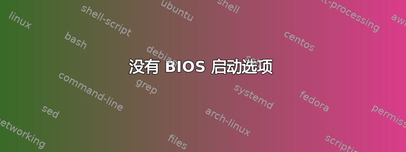 没有 BIOS 启动选项